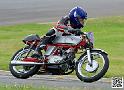 coyotes-2014-solo_4671