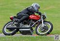 coyotes-2014-solo_4675