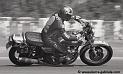 gougy_223