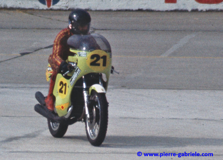 pons_d324.jpg