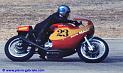 pirovanni_d329