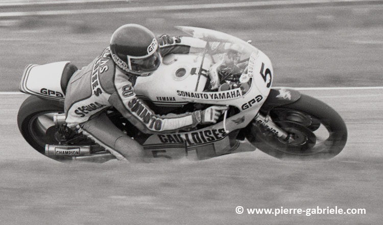 pons_402.jpg
