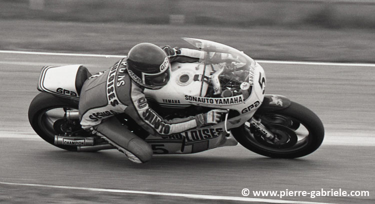 pons_460.jpg