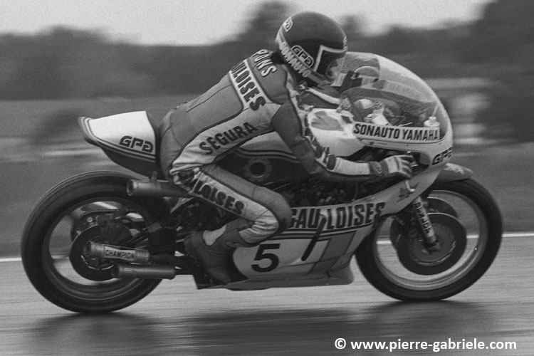 pons_487.jpg
