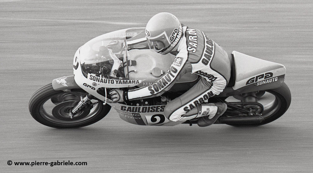 sarron_362.jpg