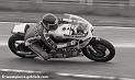 pons_428