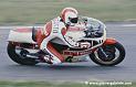 cecotto_d097