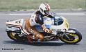 rossi_d331