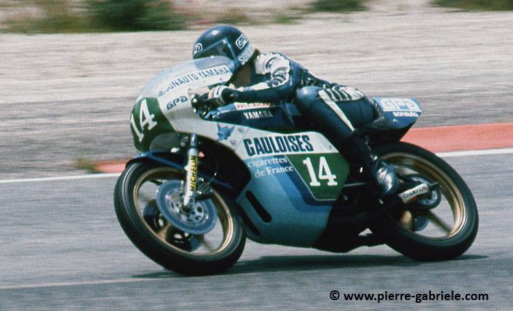 pons_d431.jpg