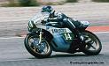 pons_d431