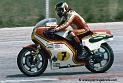 sheene_d295