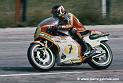 sheene_d342