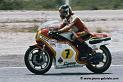 sheene_d347