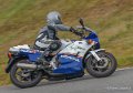 rgv2003_6135