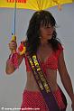 joebar1_1767