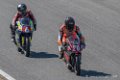 premoto3-d500_3939