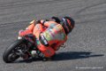 premoto3-d500_3941