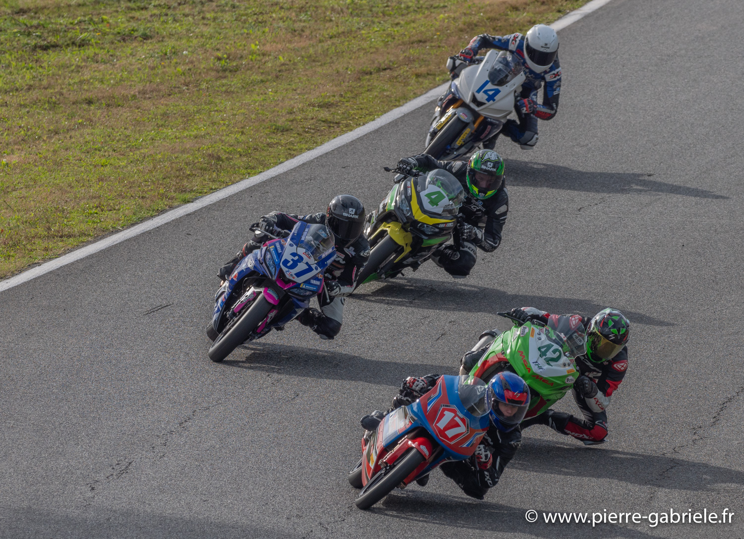 premoto3-ssp300-g93_6827.jpg