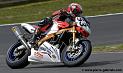 arnos04-2008_1137