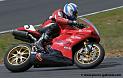 arnos04-2008_1144