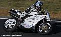 arnos04-2008_1589