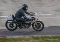norton_2781