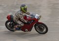 zebra_2798