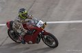 zebra_2871