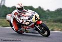 cecotto-620