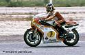 sheene-426