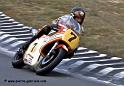 sheene-431