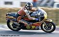 sheene-630