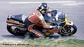 sheene-651