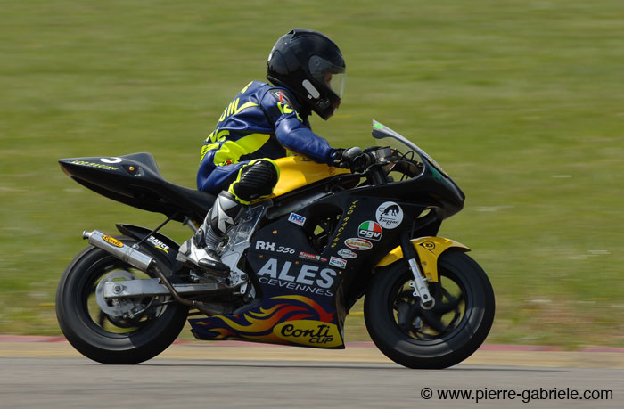 dicarlo_0902.jpg