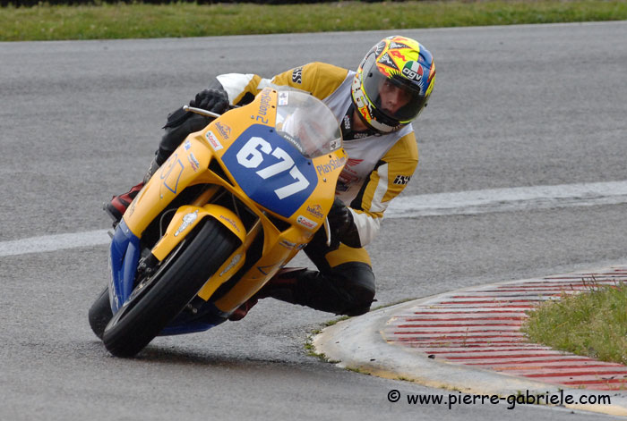 gallis_1114.jpg