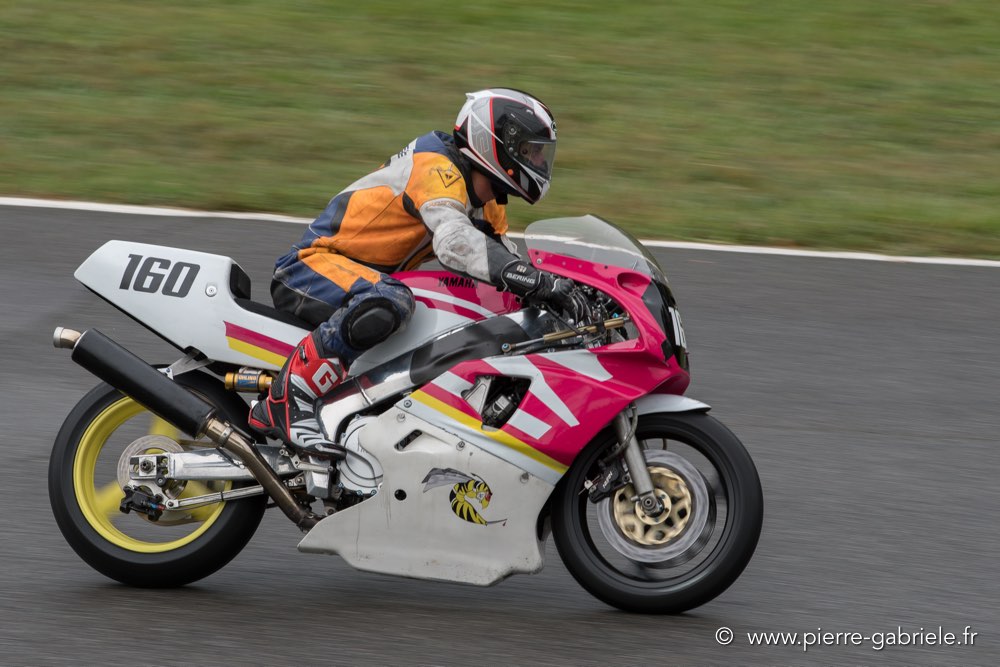pmc-2017-d500_0095.jpg
