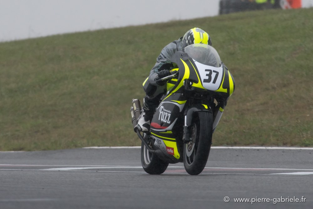pmc-2017-d500_0301.jpg