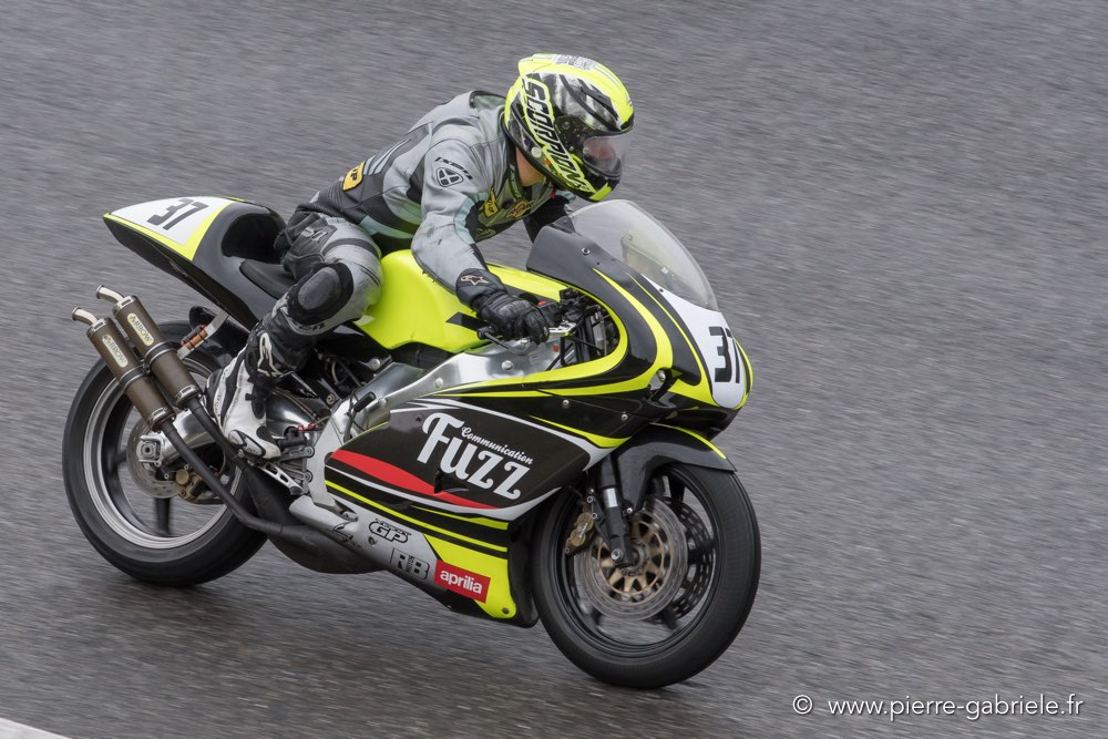 pmc-2017-d500_0342.jpg