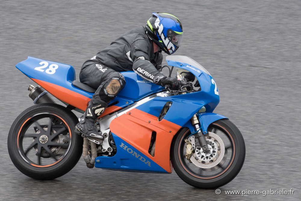 pmc-2017-d500_0345.jpg