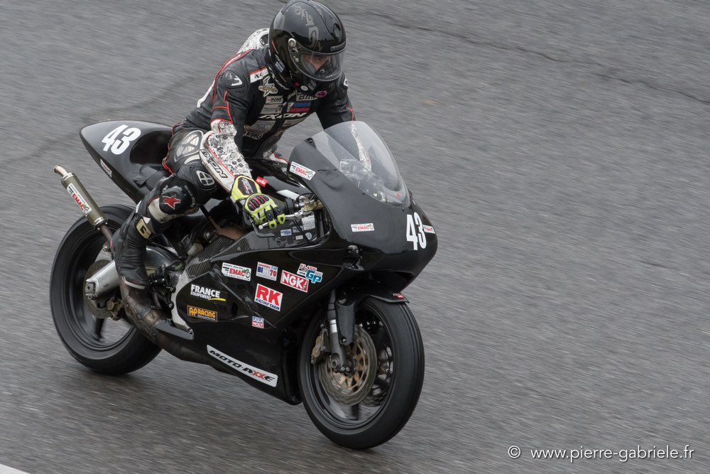 pmc-2017-d500_0361.jpg