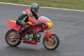 pmc-2017-d500_9937
