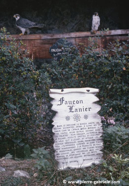 donjon_d004.jpg