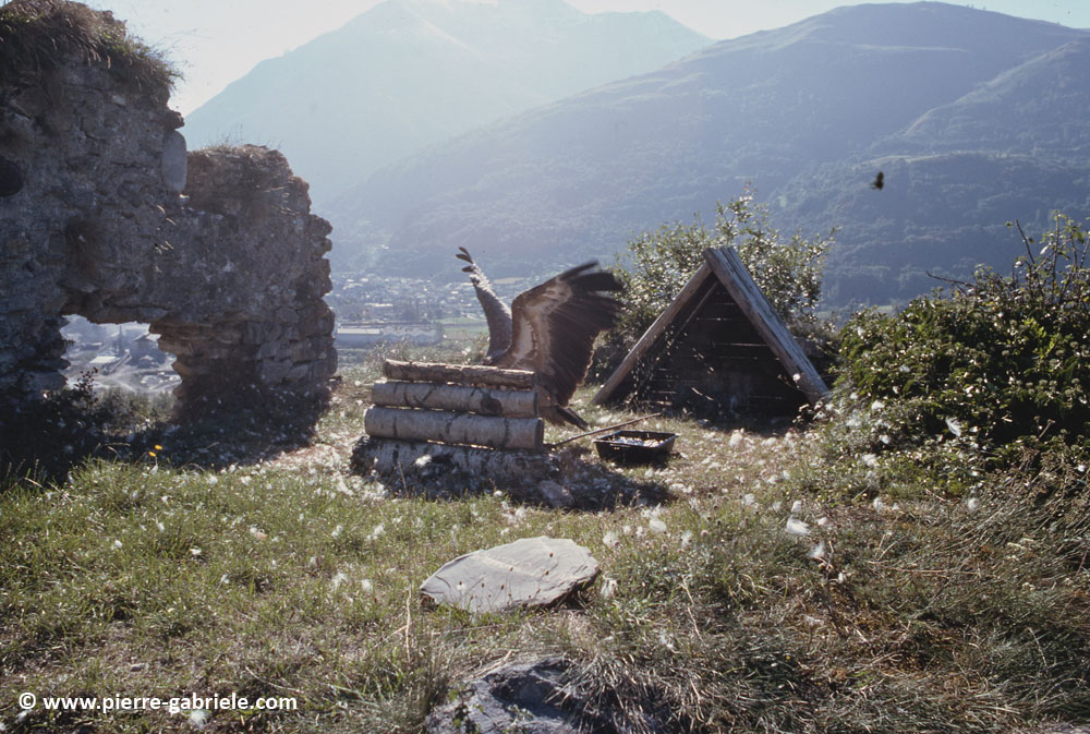 donjon_d027.jpg