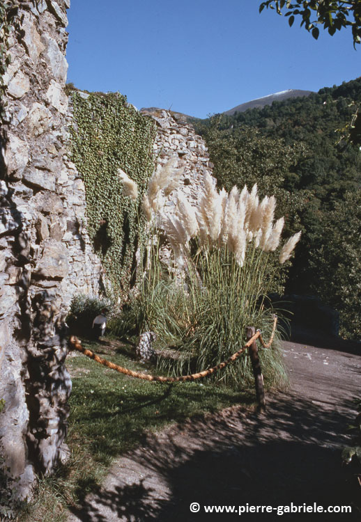 donjon_d031.jpg