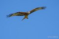 milan-royal-a74_02349