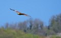 milan-royal-a74_02352