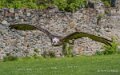 gypaete-a74n_01253