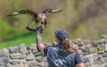 caracara-fanny-a74n_00974