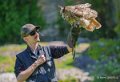 grand-duc-jeremy-a74n_01034