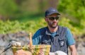 perruches-jeremy2-a74n_01060
